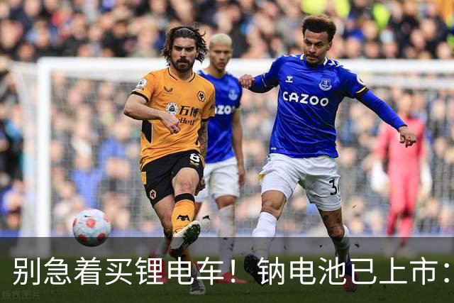 别急着买锂电车！钠电池已上市：5年质保，同容量还便宜大几百