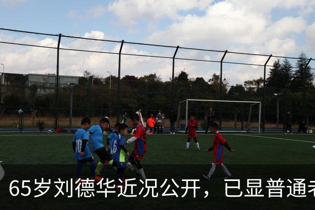 65岁刘德华近况公开，已显普通老人样貌，60岁妻子被错认为女儿